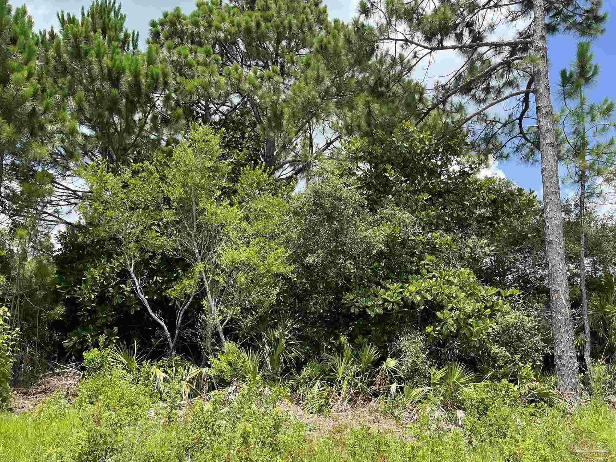 Property Photo: 1349 Dubose Rd FL 32563