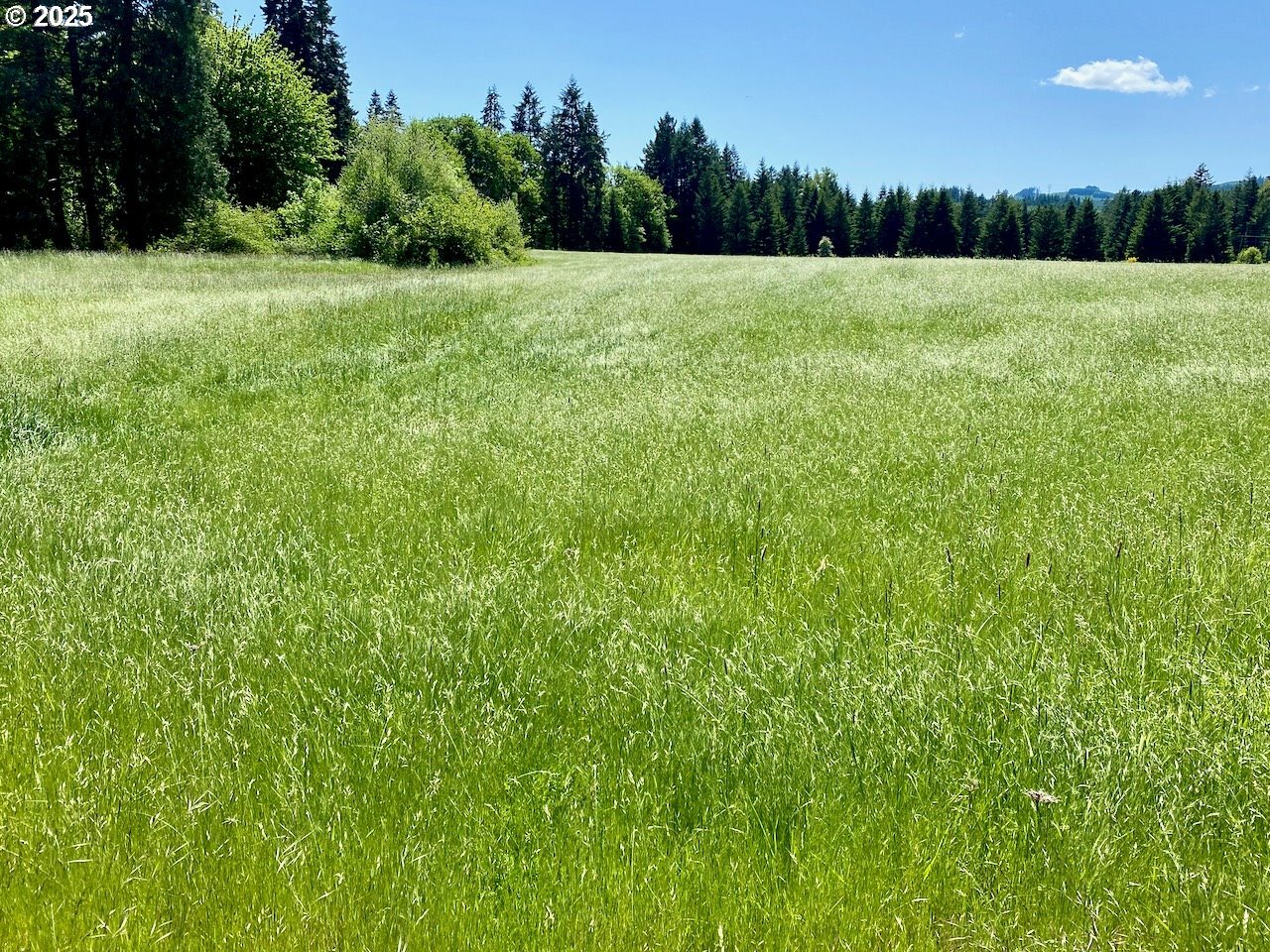 Property Photo: 93933 Marcola Rd OR 97454