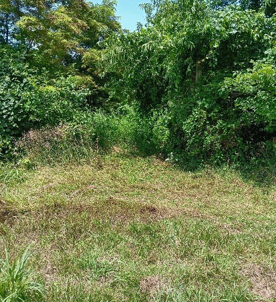 Property Photo:  0 N Side St. Rt. 689  OH 45710 