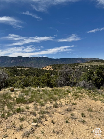 Unknown  Centerfield UT 84622 photo