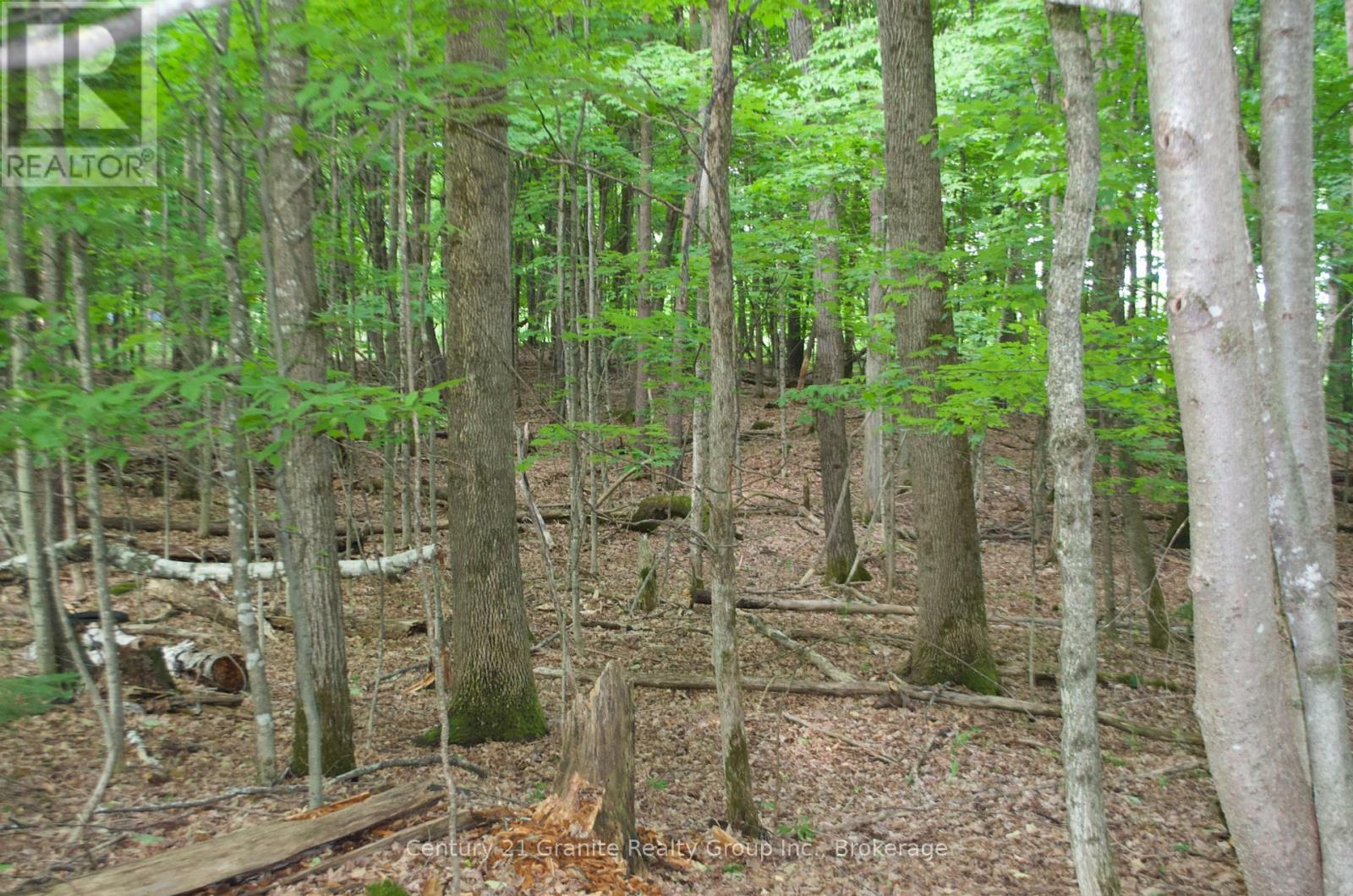 Property Photo:  Lot 7 Ridgeview Road  ON K0M 1S0 