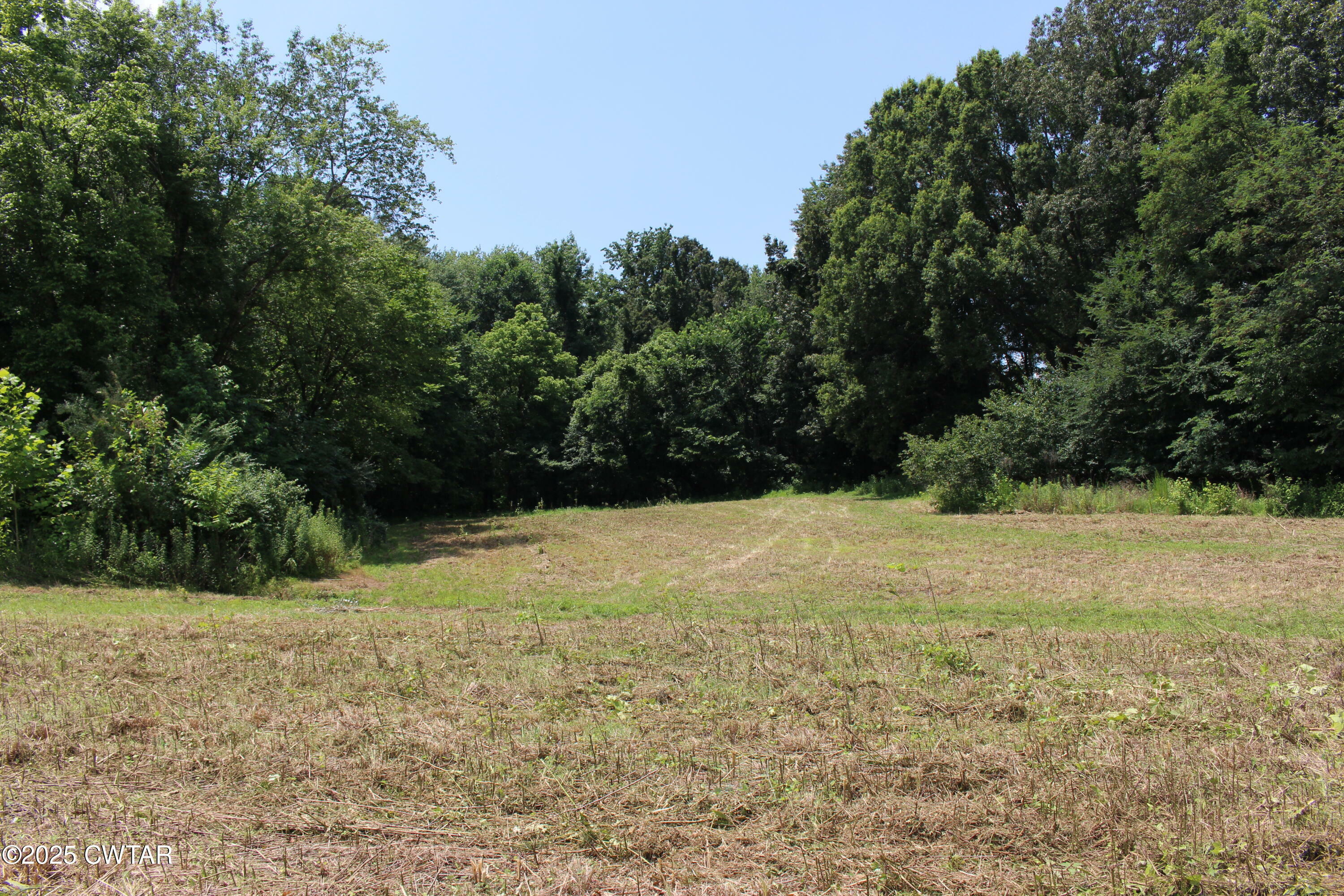 Property Photo: 0 Wild Valley Lane TN 38305