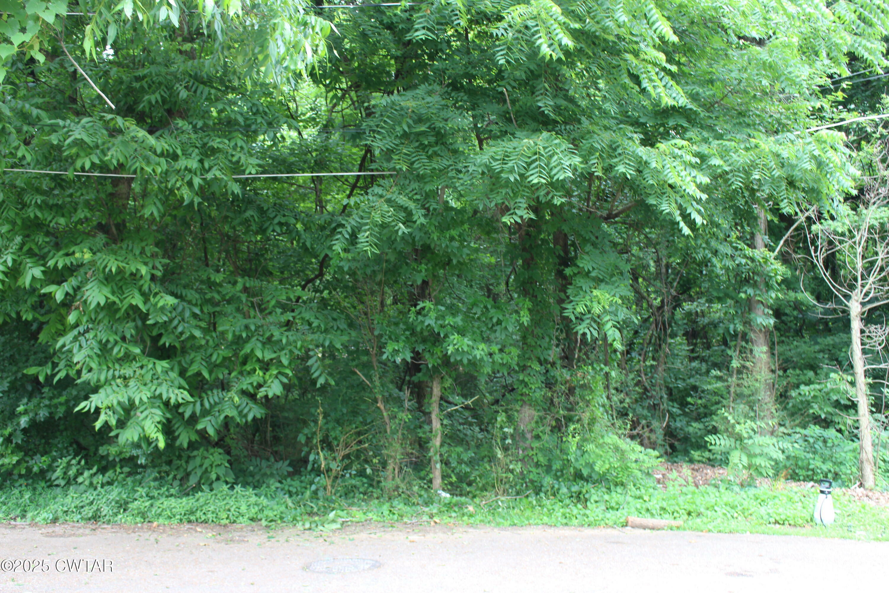Property Photo: 191 &Amp 195 Reynolds Drive TN 38305