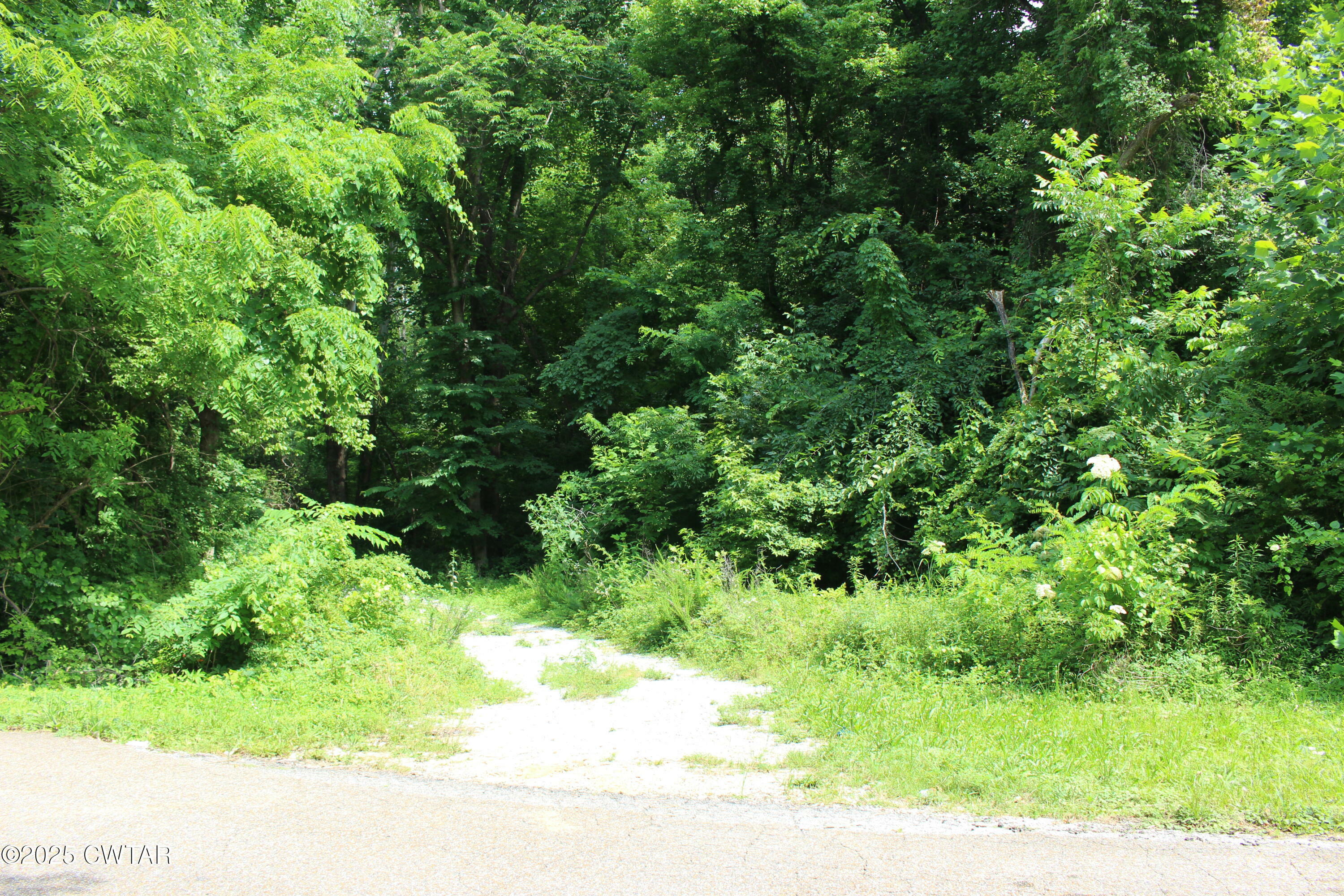 Property Photo: 0 Rushwood Drive TN 38305