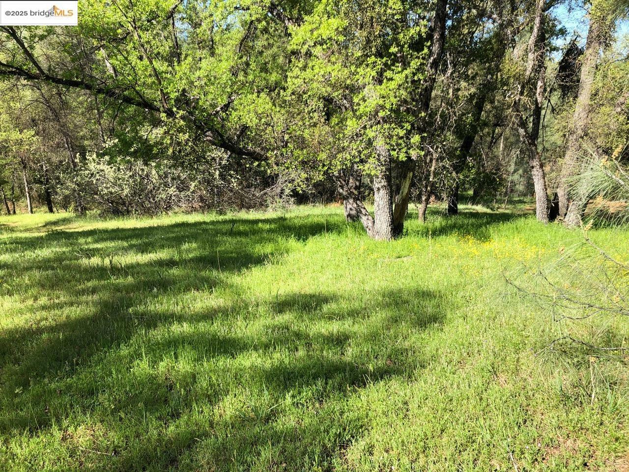 Property Photo: 15941 Crestridge Avenue CA 95370