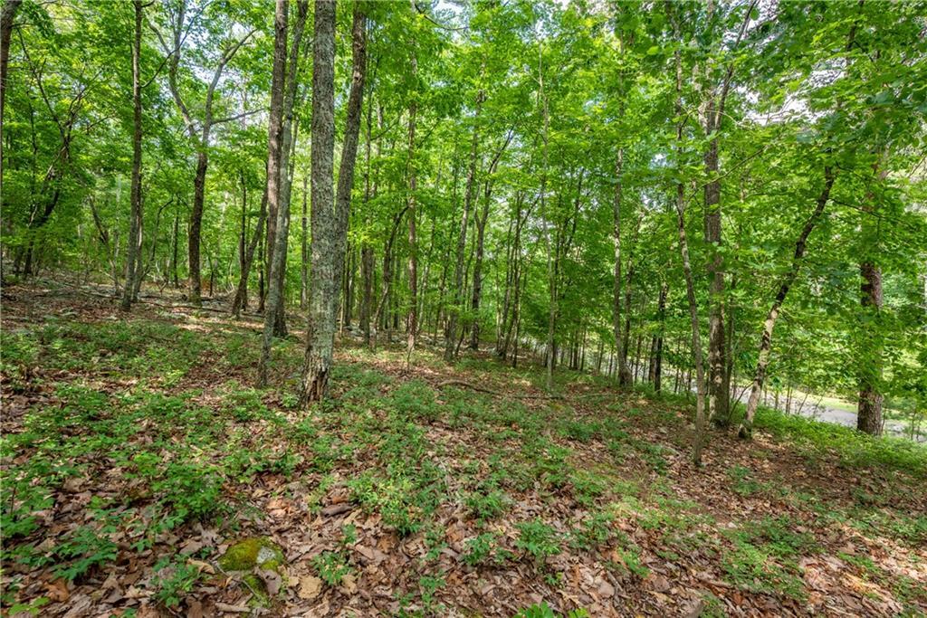 Property Photo: 307 Stonehaven Court GA 30143