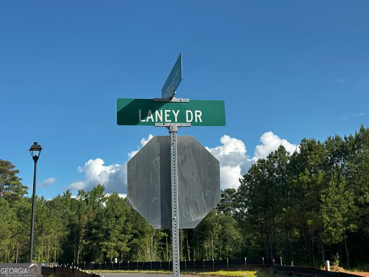 Property Photo:  210 Laney Drive Lot 61  GA 30117