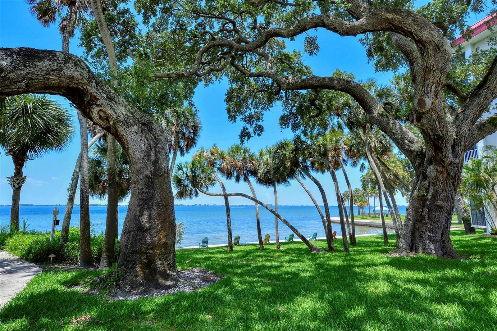 Property Photo: 1100 Imperial Drive 403 FL 34236