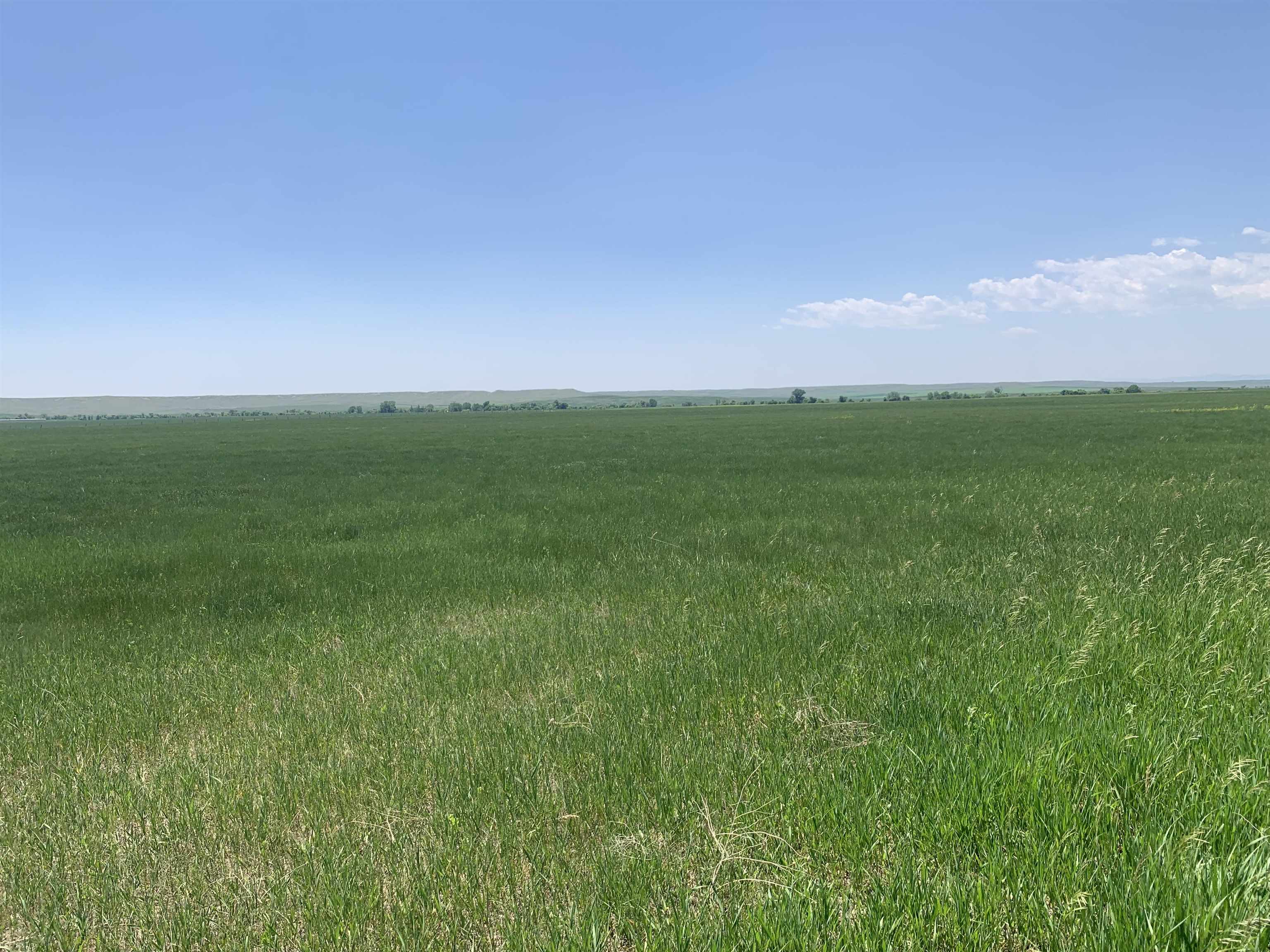 Tbd Lower Spring Creek Road  Hermosa SD 57744 photo