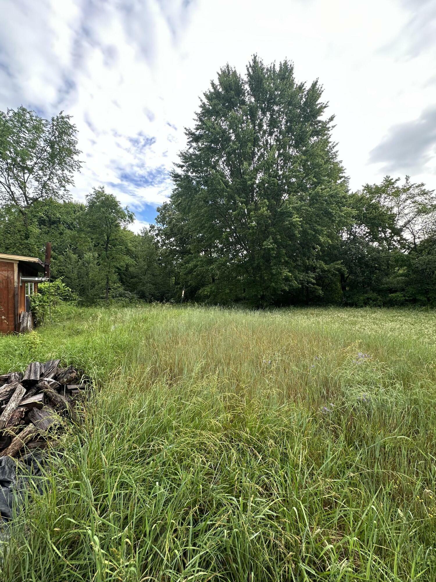 Property Photo:  37277 County Road 653  MI 49079 