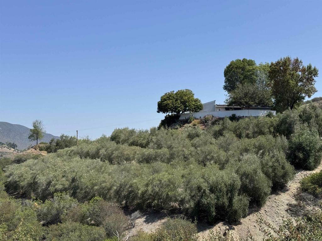 Property Photo: 3018 Red Mountain Heights Road CA 92028
