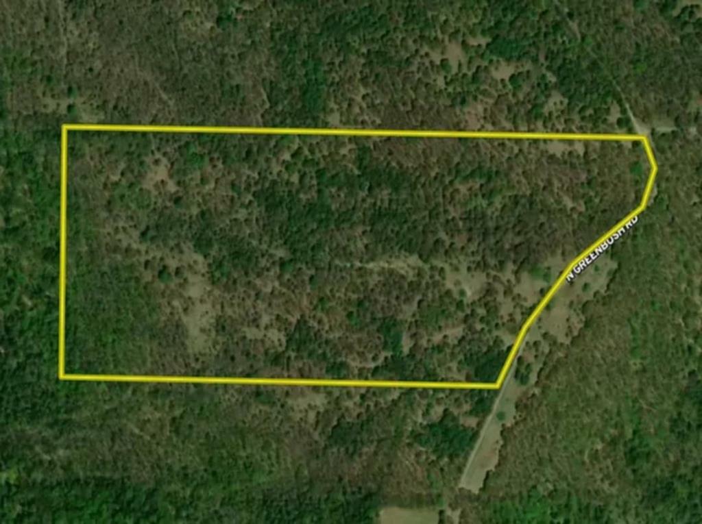 Property Photo: 0 Greenbush Rd NY 14838