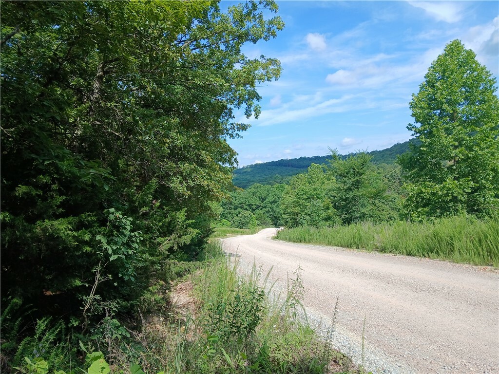 Tbd Madison 2149 Lot #25  Huntsville AR 72740 photo