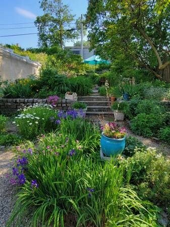 Property Photo:  17 Elmira St A  MA 02135 