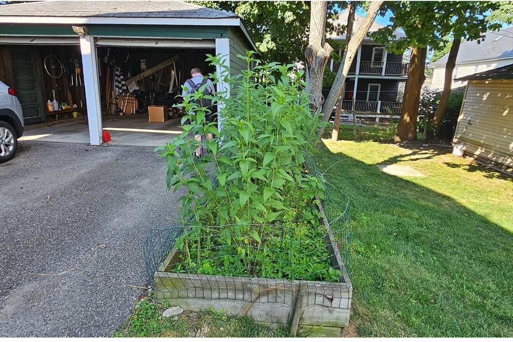 Property Photo:  69 Bradfield Ave 1  MA 02131 