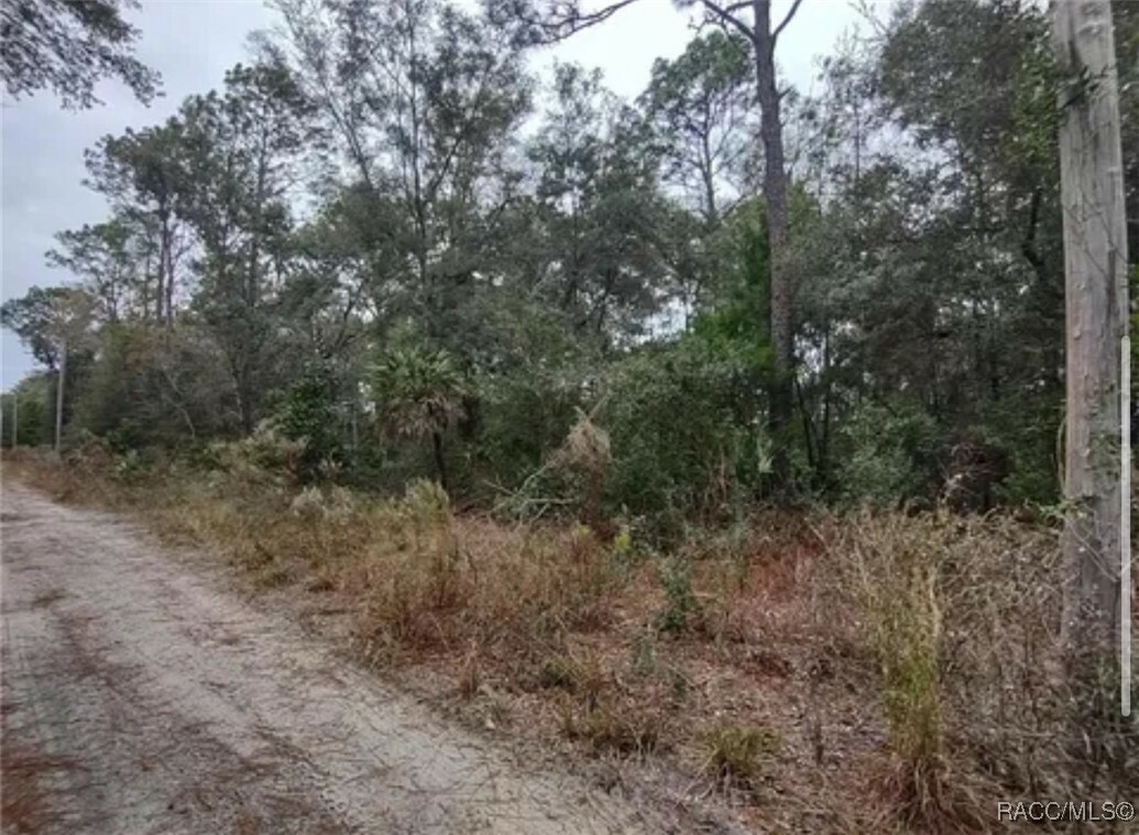 Property Photo:  9785 W Watermelon Lane  FL 34428 