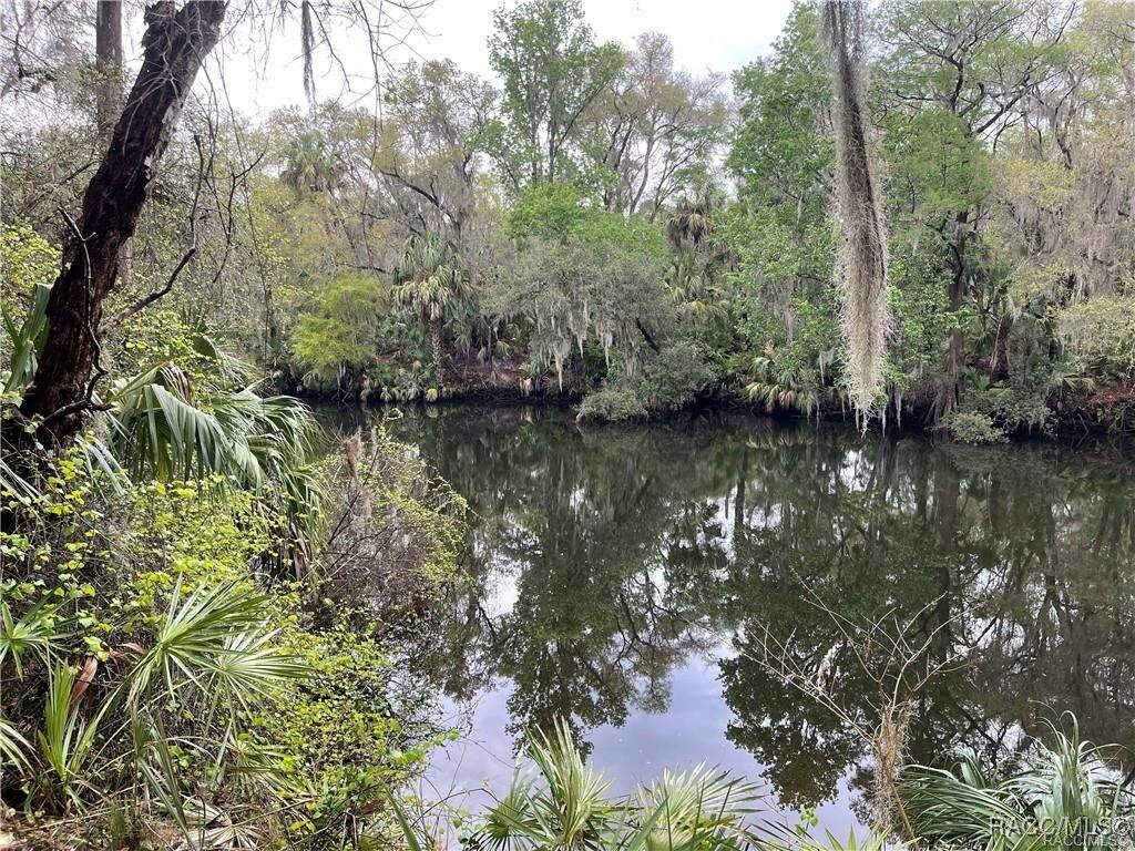 Property Photo: 10574 Dawnflower Point FL 34428