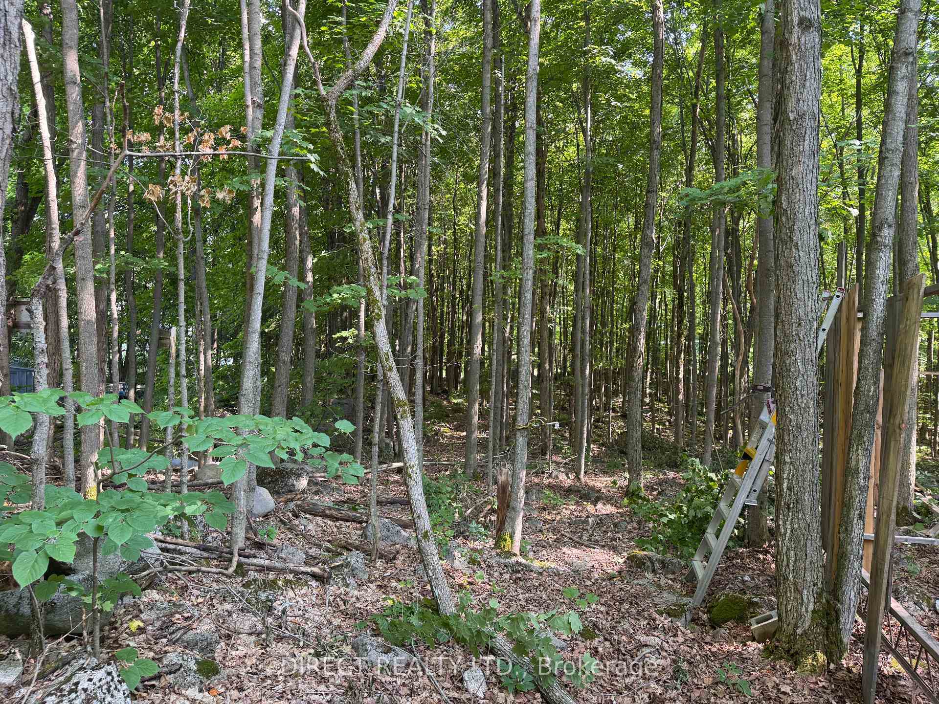 Property Photo:  Lot 15 James Street  ON K0K 2L0 