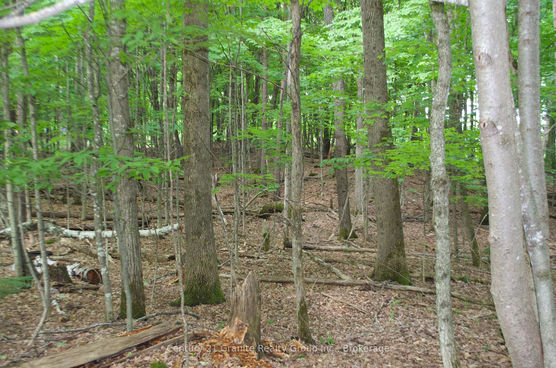 Property Photo:  Lot 7 Ridgeview Road  ON K0M 1S0 