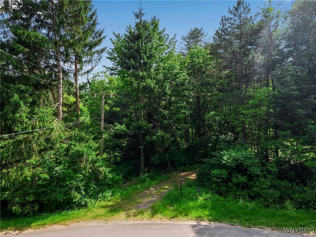 Property Photo: 11665 Carpenter Road NY 14169