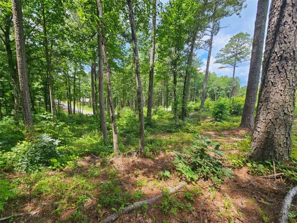 Property Photo: 0 Twisted Oak Road GA 30536