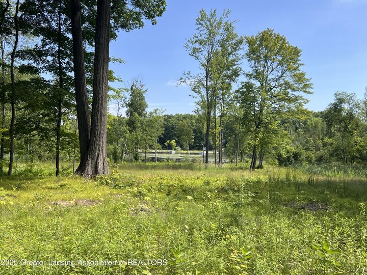 Property Photo:  4784-4788 Beech Drive  MI 48850 