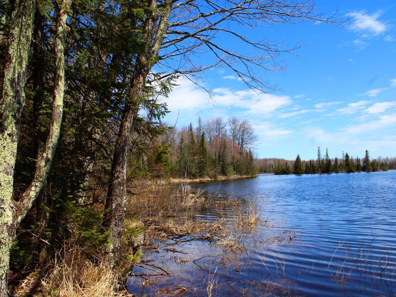 Property Photo:  Off Spring Camp Rd  WI 54550 