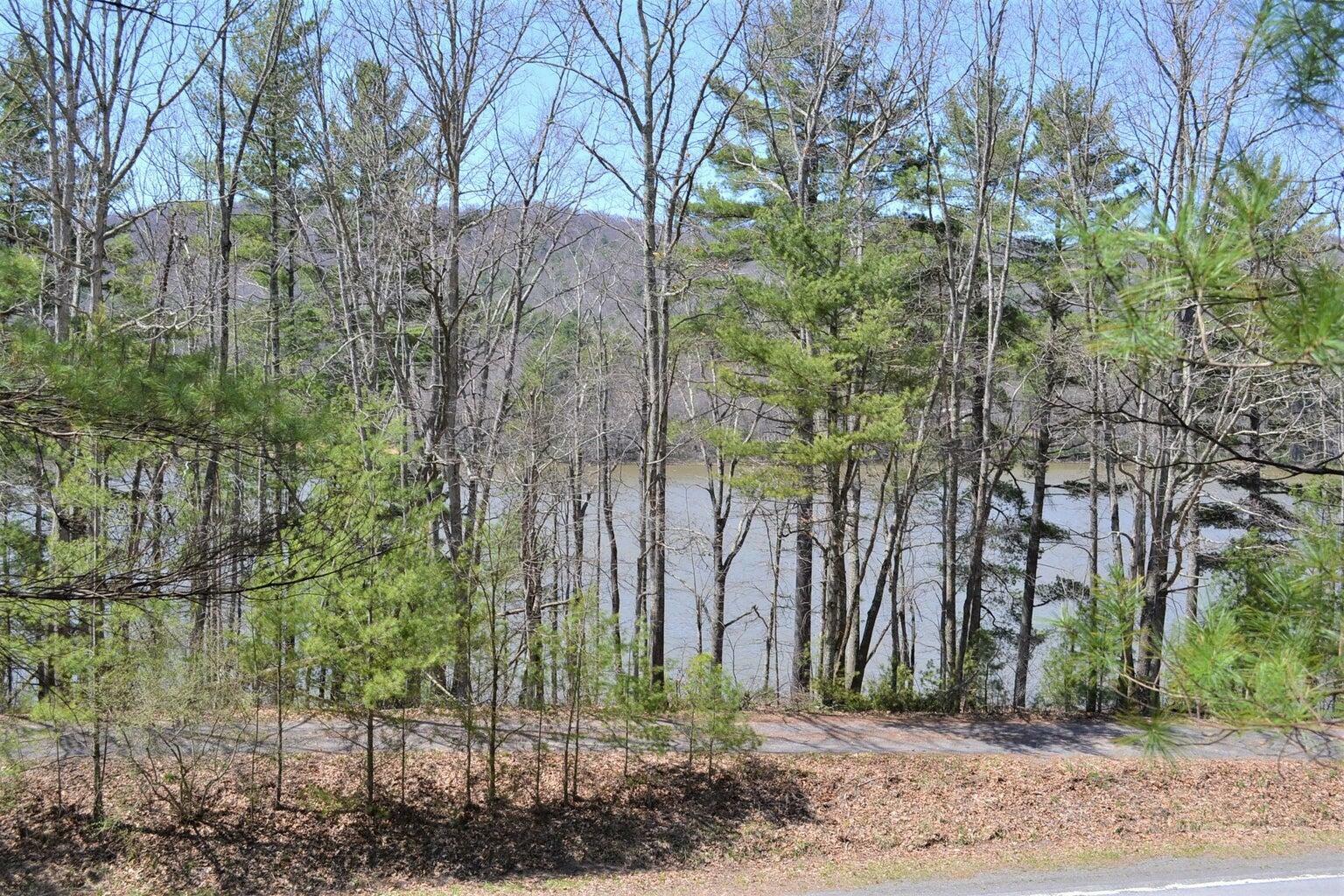 Property Photo: Moncove Lake Rd WV 24941