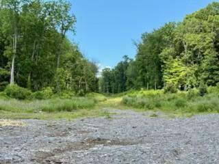 Property Photo: Lot 3 Chelsea Road NY 12590