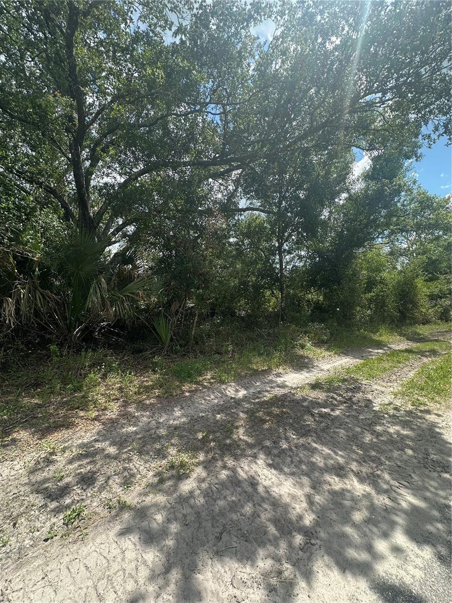Property Photo: Henrietta Avenue FL 34291
