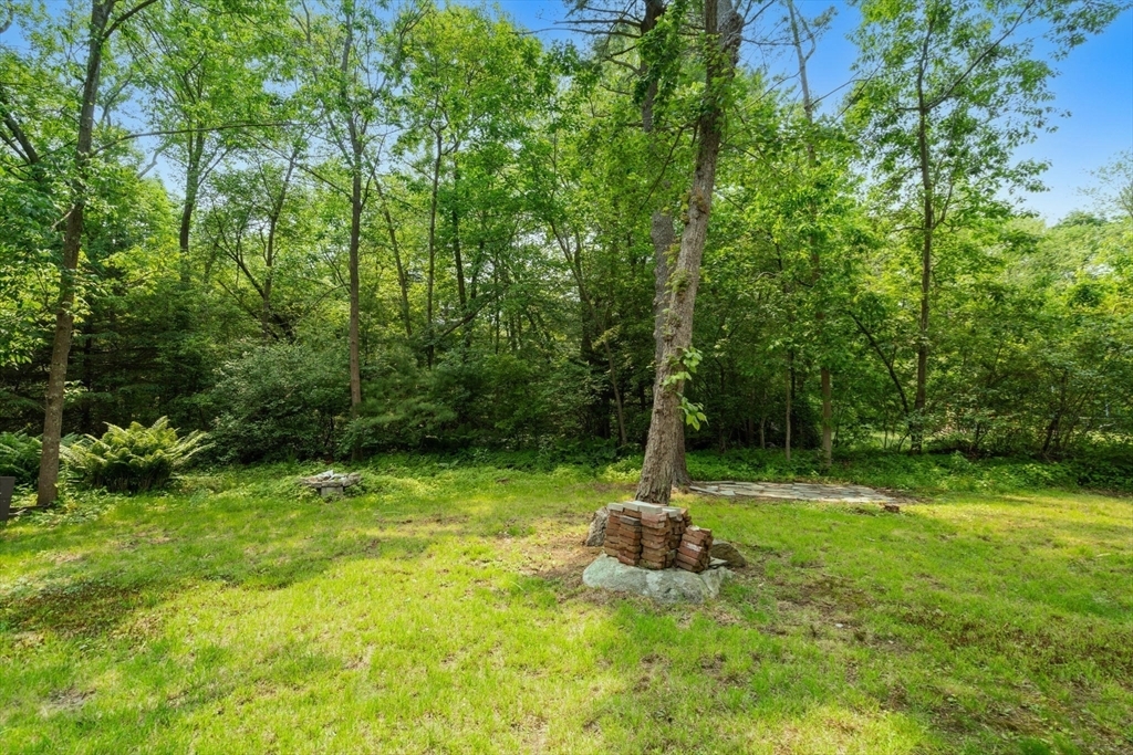 Property Photo:  379 Dedham Avenue  MA 02492 
