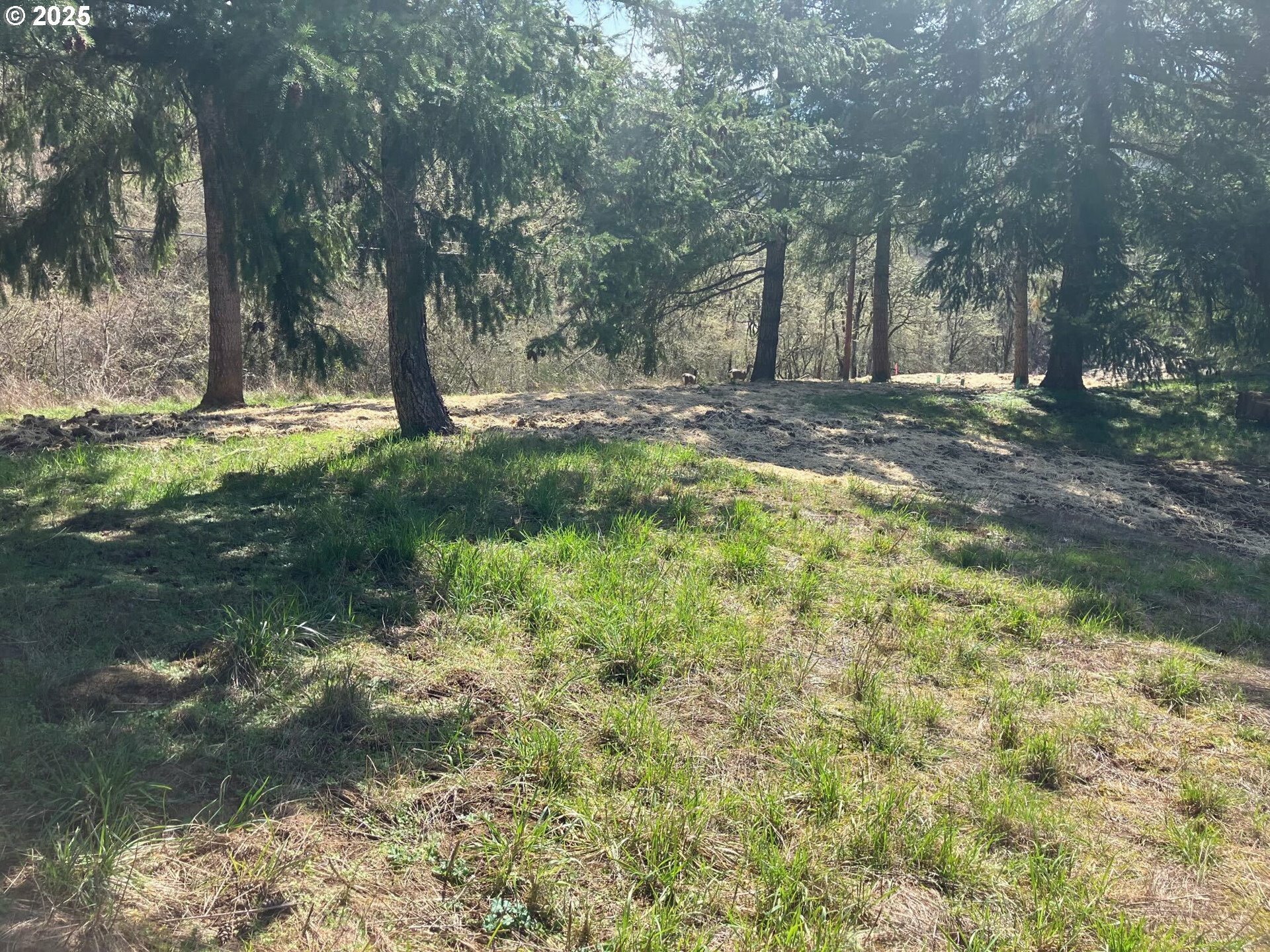 Property Photo: NE Center 1 OR 97378