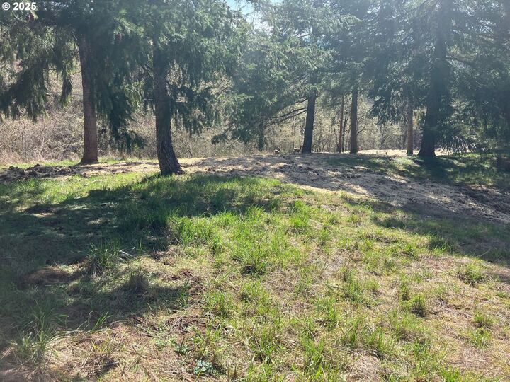 Property Photo: NE Center 1 OR 97378