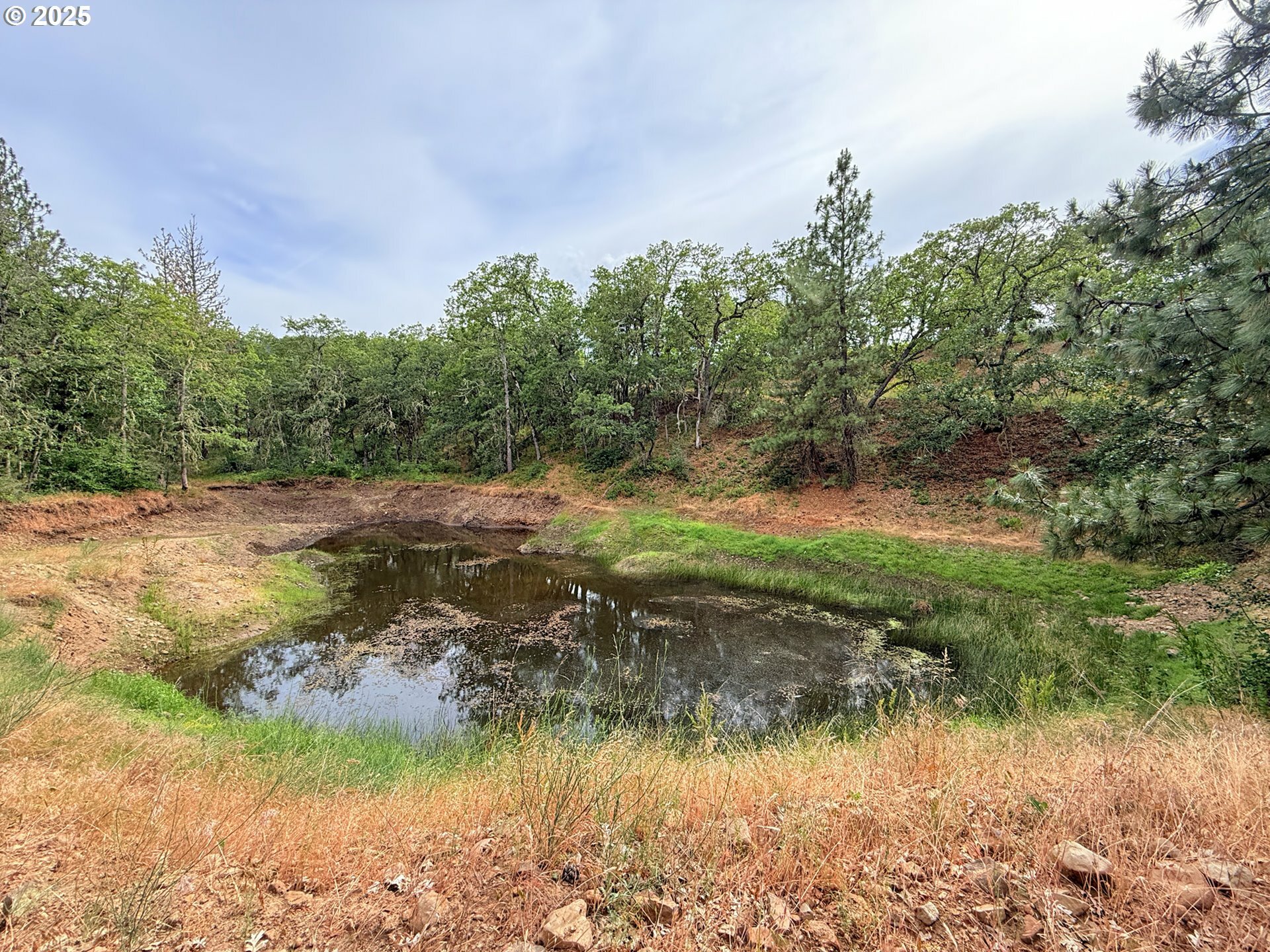 Property Photo: 600 Centerville Hwy WA 98635