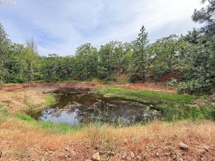 Property Photo:  600 Centerville Hwy  WA 98635 