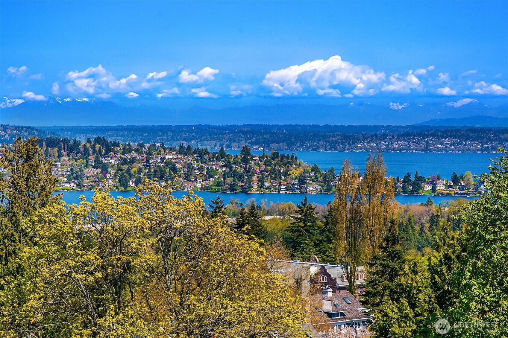 1238  15th Avenue E 12  Seattle WA 98112 photo