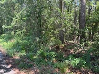 Linwood  Sumter SC 29153 photo
