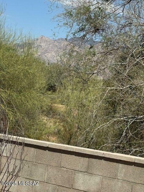 Property Photo: 9296 N Eagle Dancer Drive AZ 85742