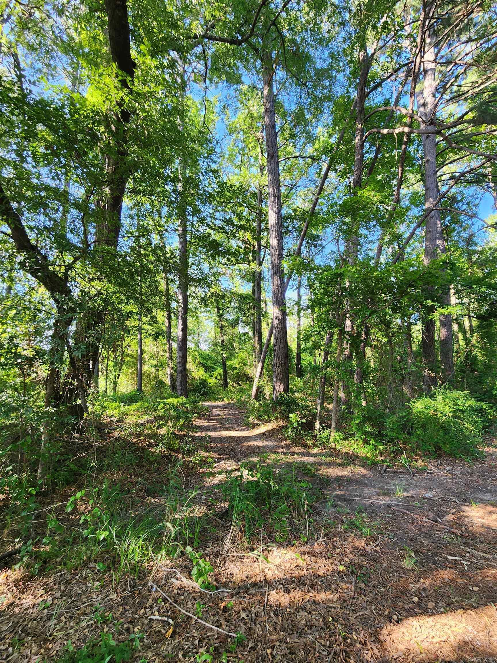 Property Photo: 000 Shannon Dr AR 72084