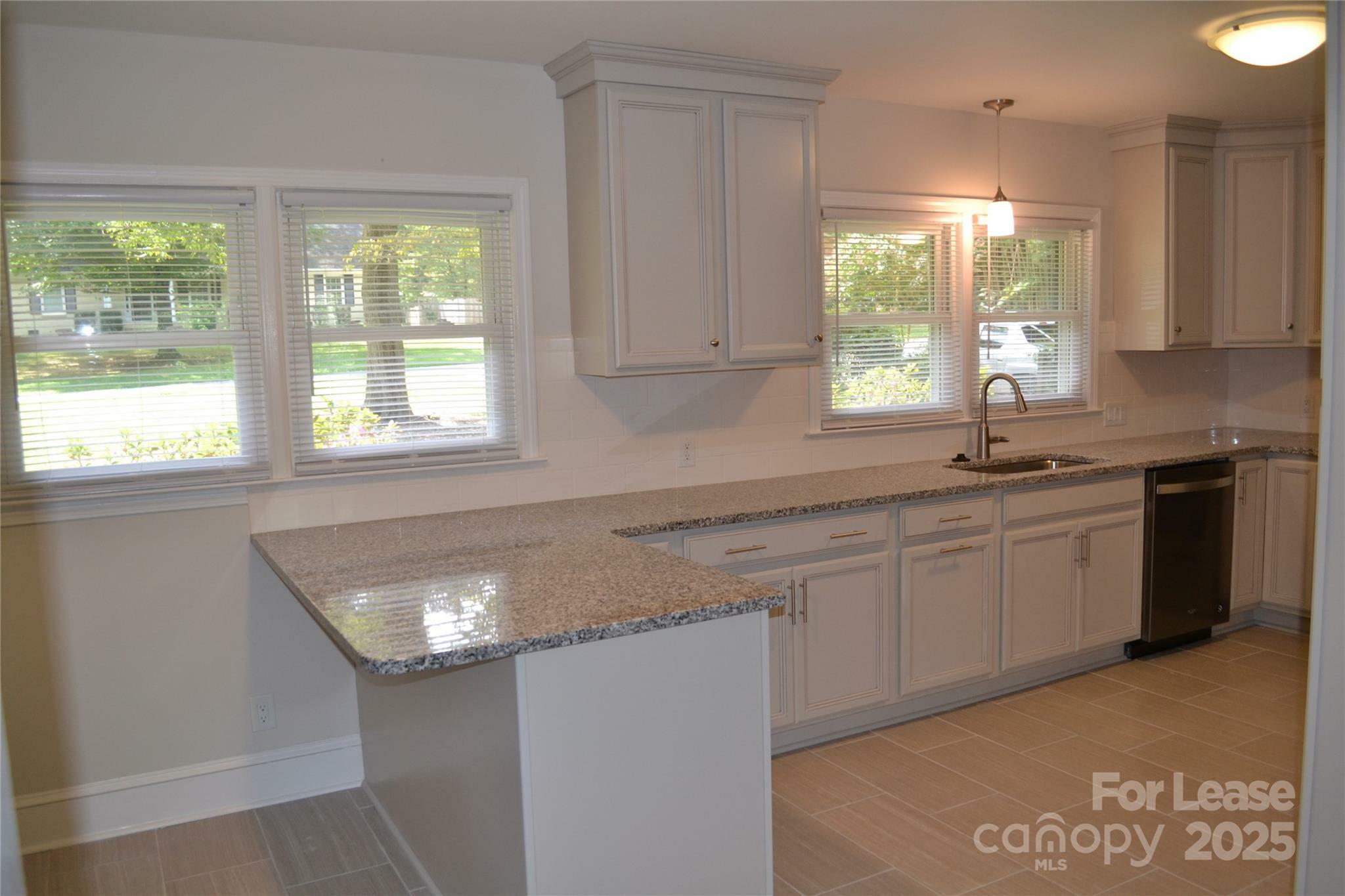 Property Photo: 3313 Woodwardia Drive NC 28210