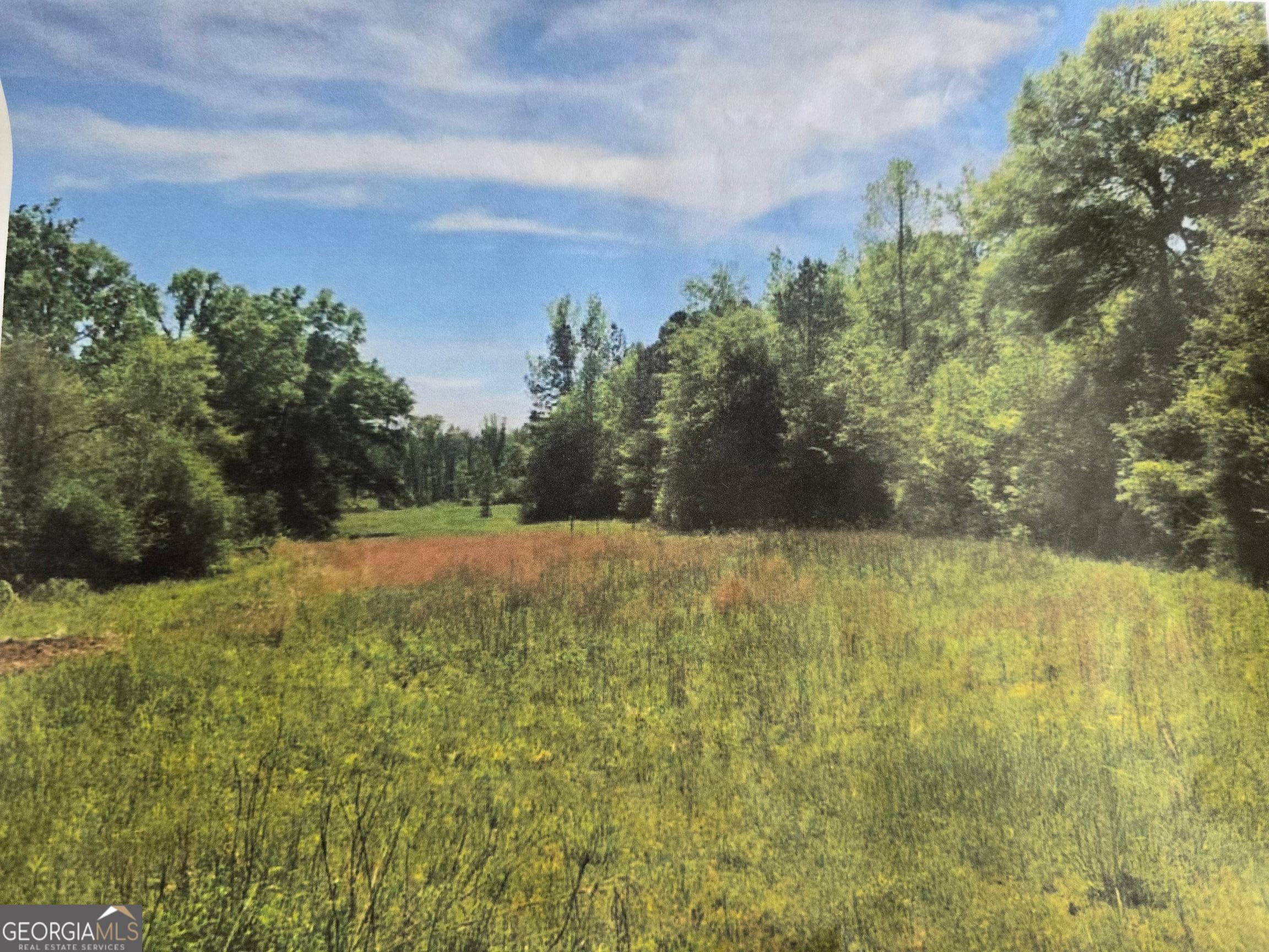Property Photo:  0 Apt-To-Miss Road  GA 31064 