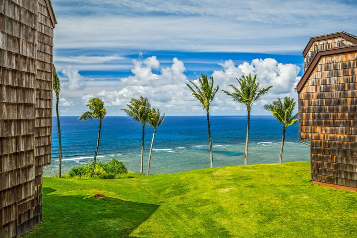 Property Photo:  3700 Kamehameha Rd H5  HI 96722 