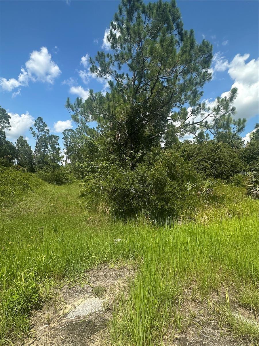 Property Photo: Hampshire Circle FL 34288