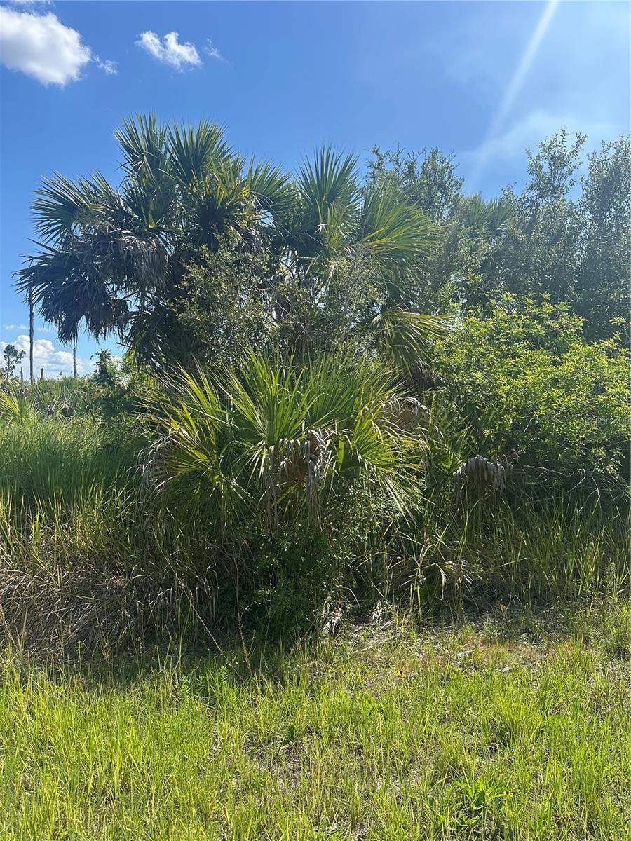 Property Photo: Snowdrift Terrace FL 34288