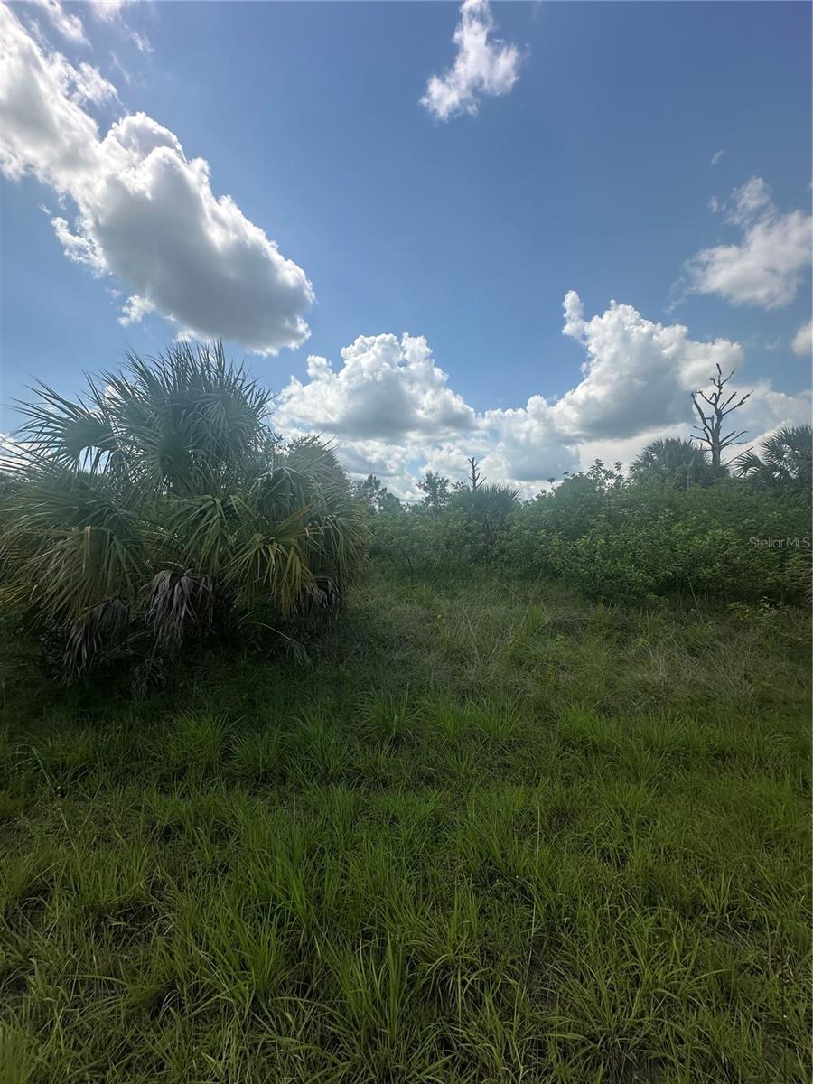 Property Photo: Fritz Avenue FL 34288