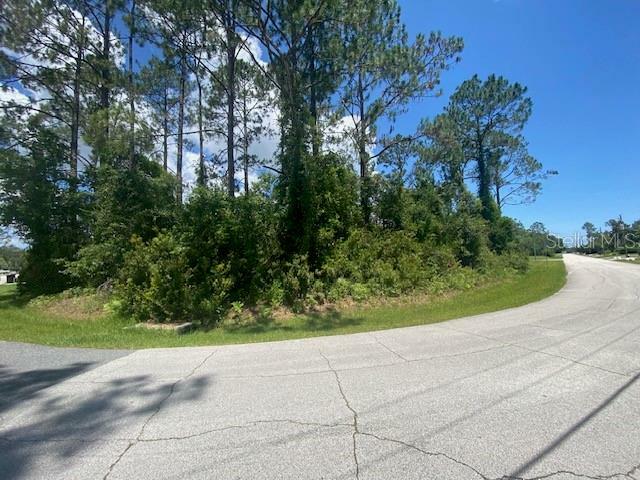 Property Photo:  30 Robinson Drive  FL 32164 