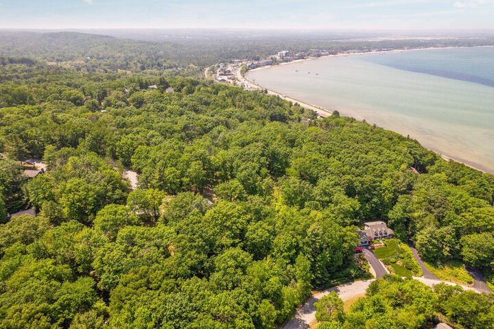 Property Photo: 4513 Weathering Heights Road MI 49686