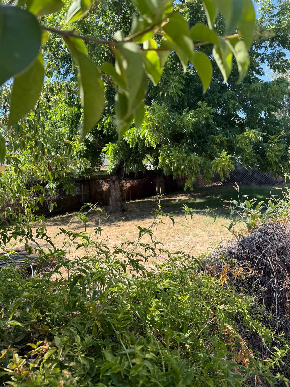 Property Photo: 115 Fig Street CA 95678