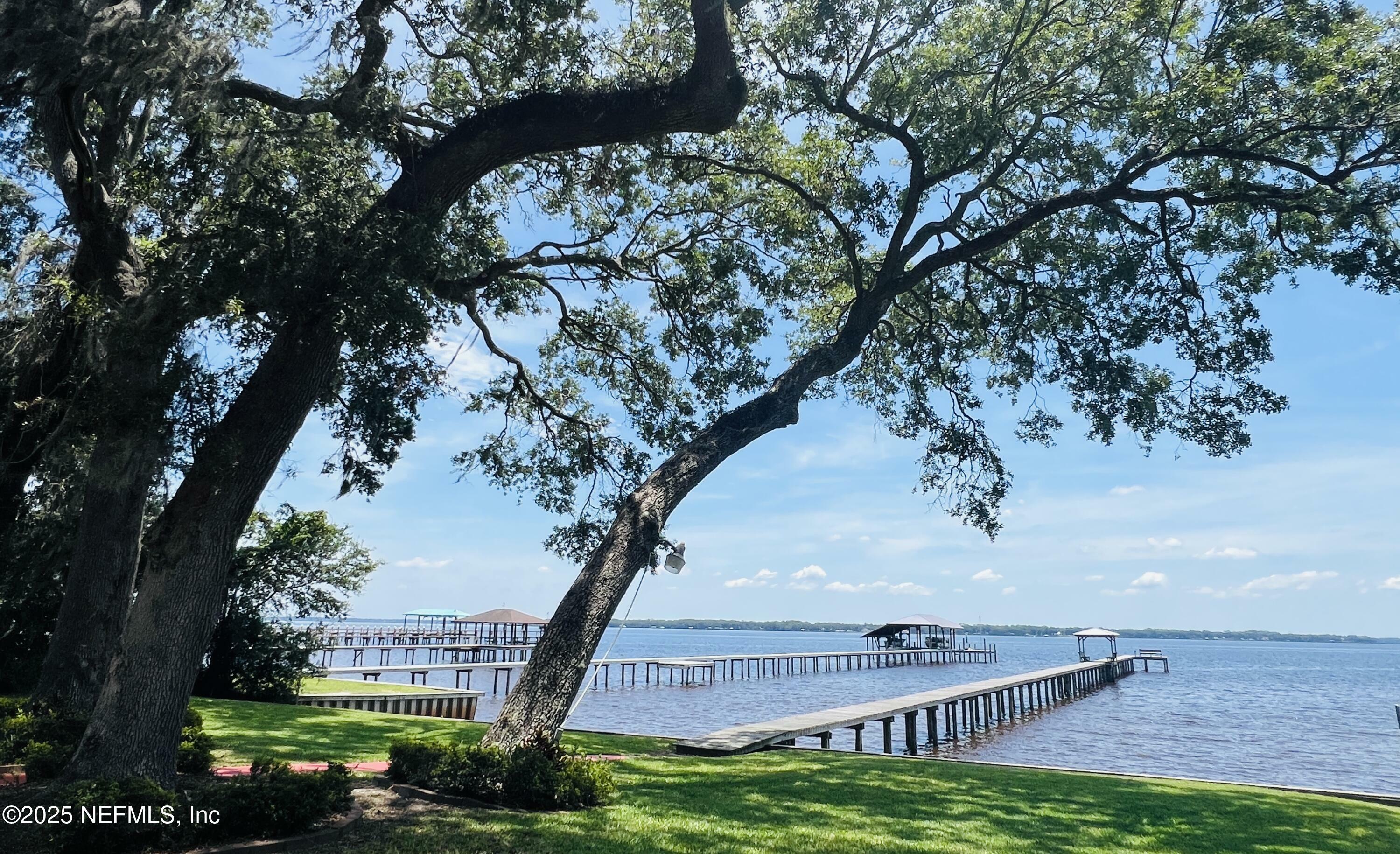 Property Photo:  3305 US Highway 17  FL 32003 