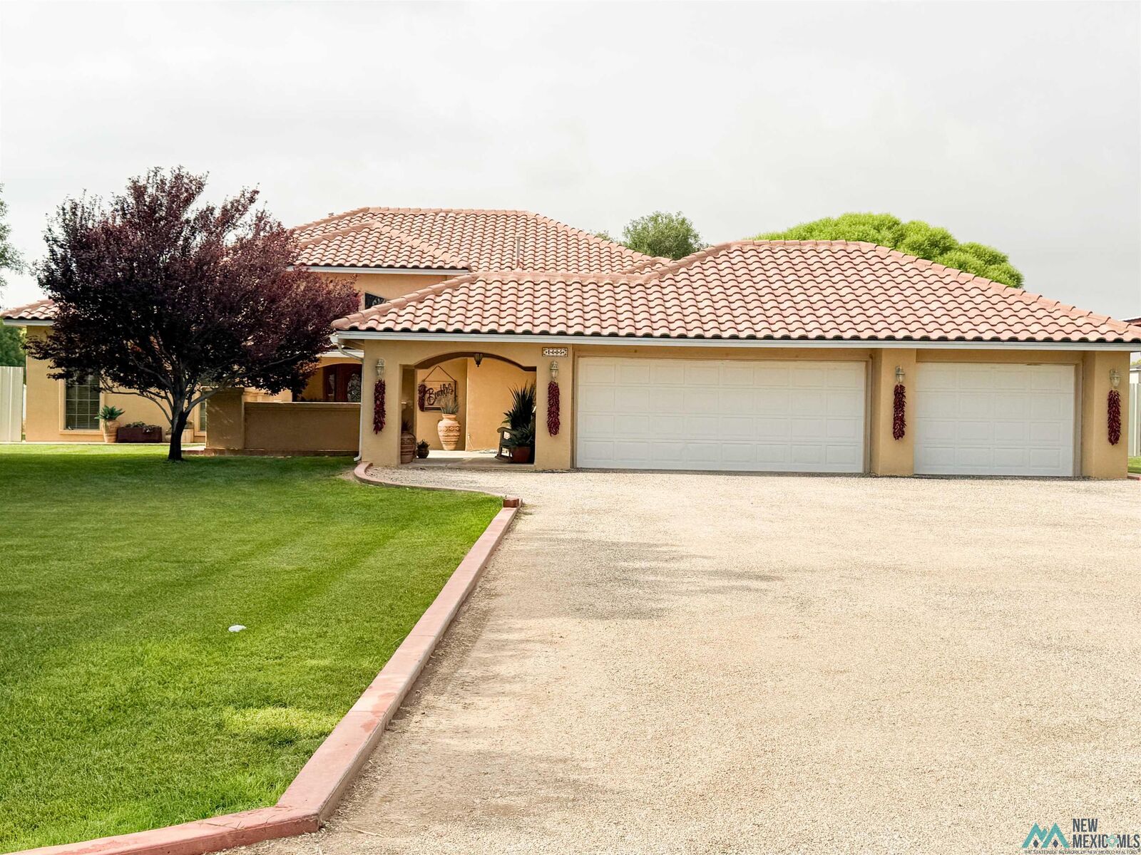 Property Photo:  1405 Tumbleweed Road  NM 88210 